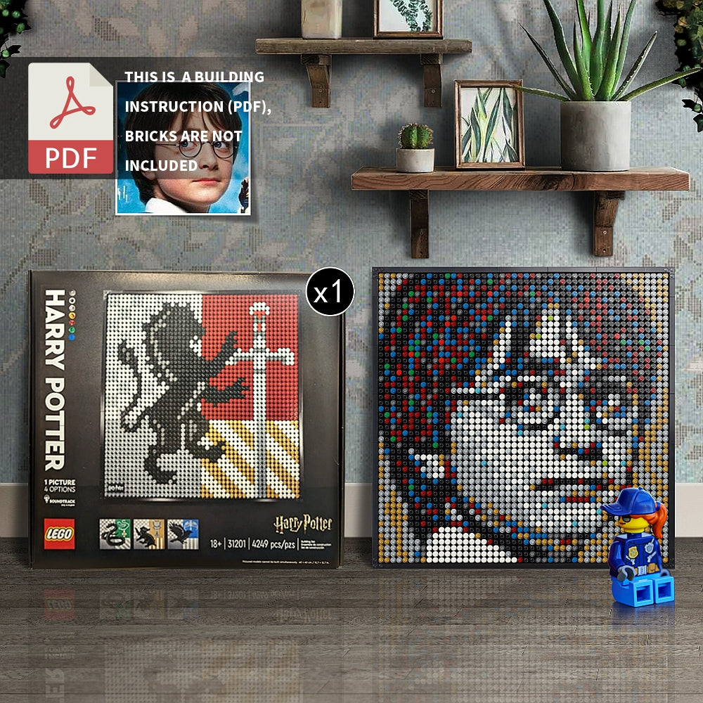 31201-Harry Potter