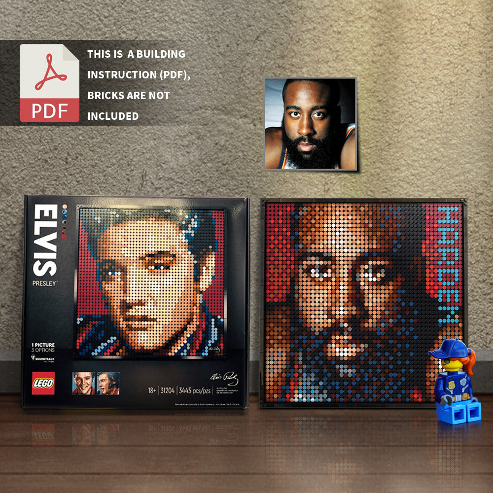 31204-James Harden