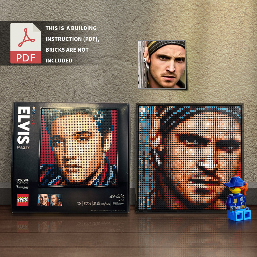 31204-Jesse Bruce Pinkman