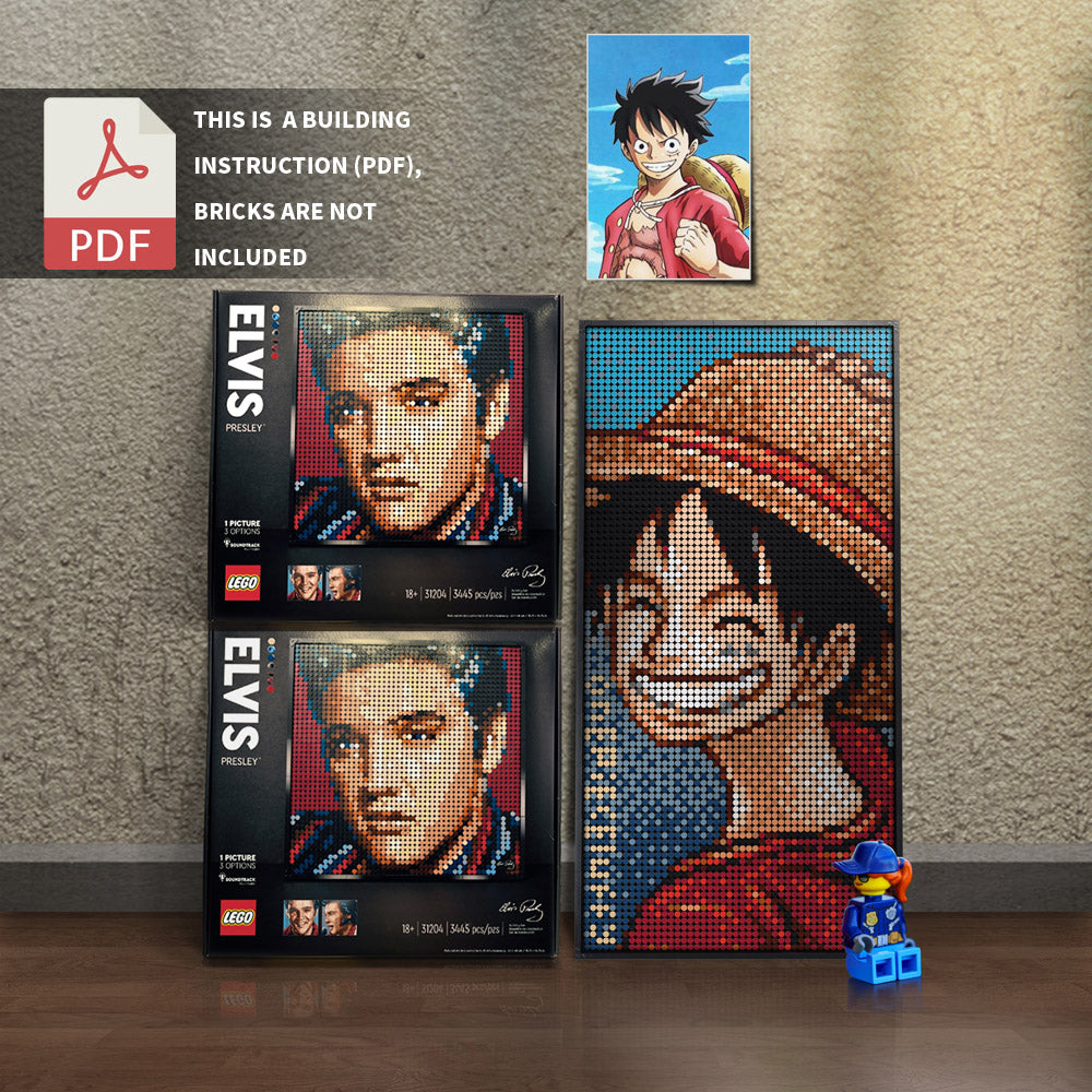31204-luffy