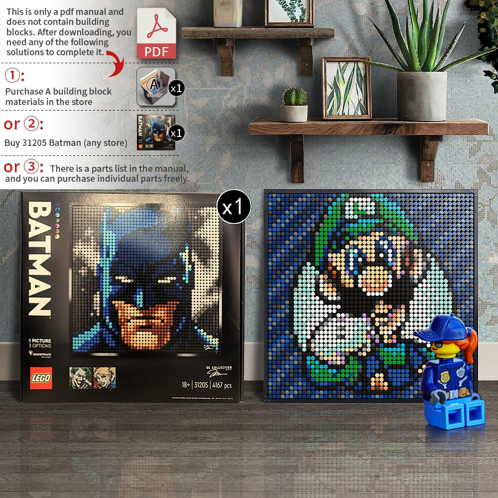 31205-Luigi